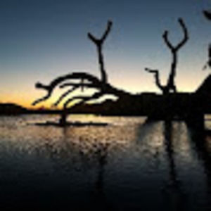 Meet your Posher, Raul